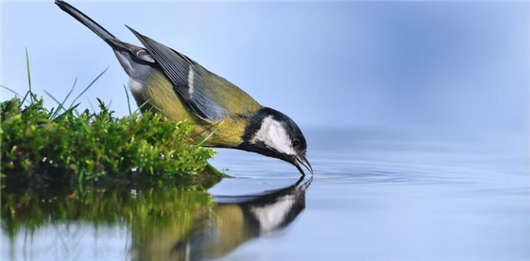 <a style='color:#268bd1;cursor:pointer;' href='/'>移民德國(guó)</a>生活,那么你一定要適應(yīng)“飲用水”食物 移民<a style='color:#268bd1;cursor:pointer;' href='/mshh.html'>德國(guó)生活</a>,那么你一定要適應(yīng)“飲用水”食物