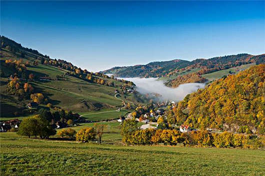 德國(guó)移民后的福利不止是父母津貼，還有經(jīng)濟(jì)援助