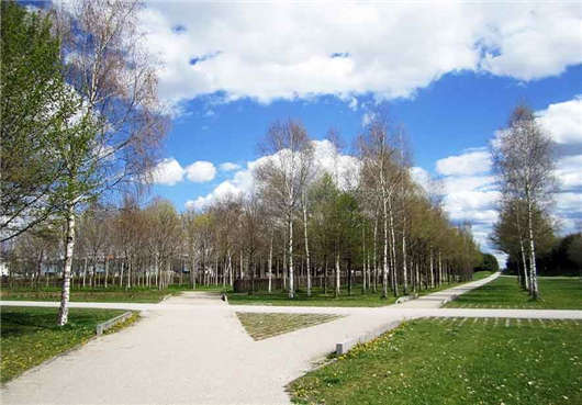 德國市場高技術(shù)人才緊缺，政策隨之發(fā)生變化