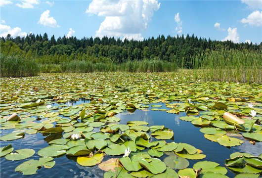 歐洲難民為何會(huì)如此青睞德國(guó)哪？原因在這（上）