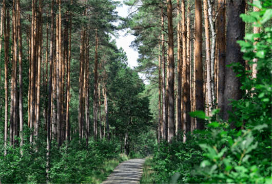 德國(guó)就業(yè)市場(chǎng)的十大事實(shí)與工作簽費(fèi)用介紹 德國(guó)就業(yè)市場(chǎng)的十大事實(shí)與工作簽費(fèi)用介紹