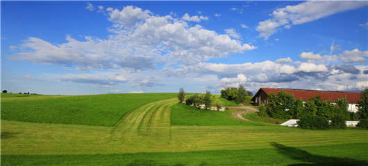 德國環(huán)境研究之電動汽車在運輸中的能量轉換中擊敗氫