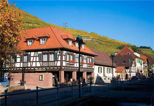 移民首要條件，你都知道嗎？