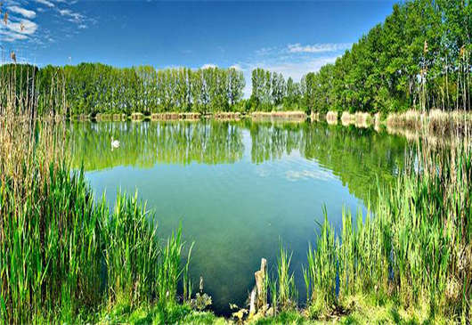 德國(guó)森林與經(jīng)濟(jì)之間的關(guān)系（下）