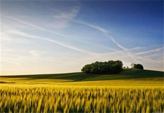 柏林的房屋建筑數量正在上升，房產投資刻不容緩