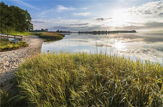 移民德國，不會德語能夠申請嗎？