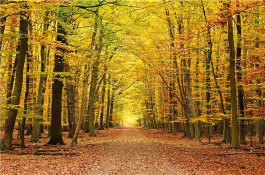 德國法人簽證適宜人群分析，看看您是否適合這個國家那？