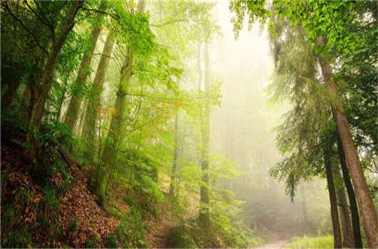 德國移民入籍條件介紹，該如何申請德國永居那？