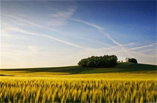 德國留學費用要多少？之后德國護照如何辦理？